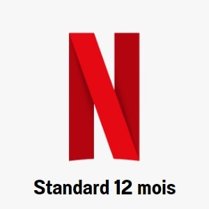 Abonnement Netflix Standard 12 mois
