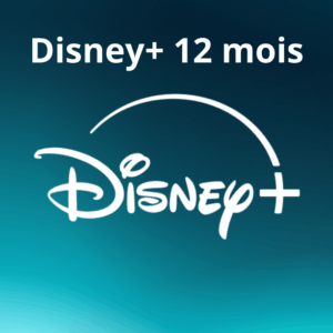 Abonnement Disney+ 12 mois